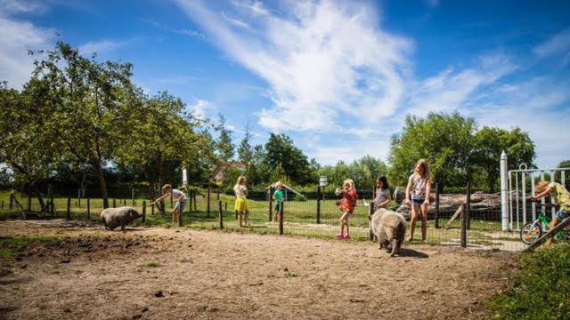 Oranjezon - Vakantiehuis 6 personen Vrouwenpolder Bagian luar foto