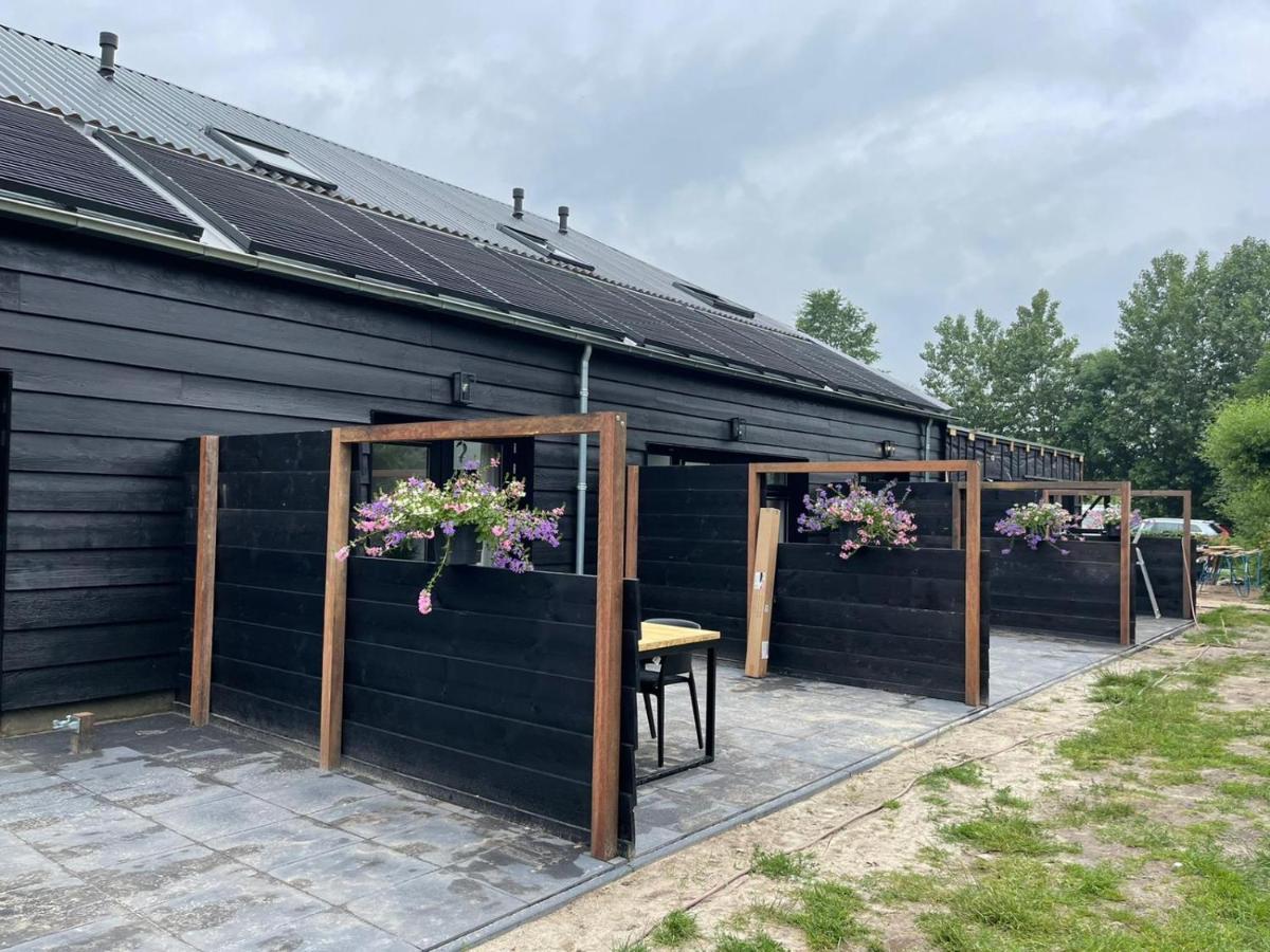 Oranjezon - Vakantiehuis 6 personen Vrouwenpolder Bagian luar foto